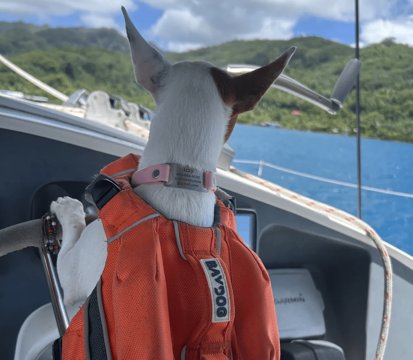 sailing with a pup